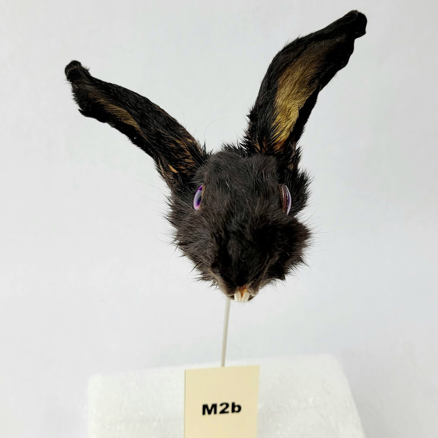 M2b Custom Anthropomorphic Rabbit Doll Deposit