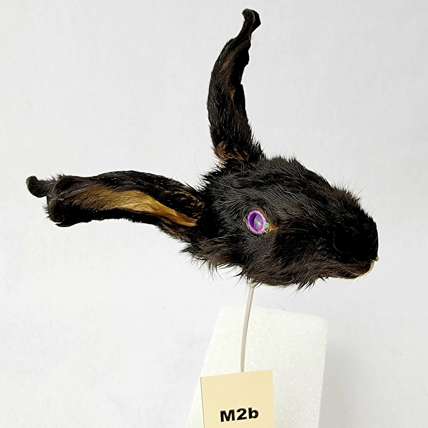 M2b Custom Anthropomorphic Rabbit Doll Deposit