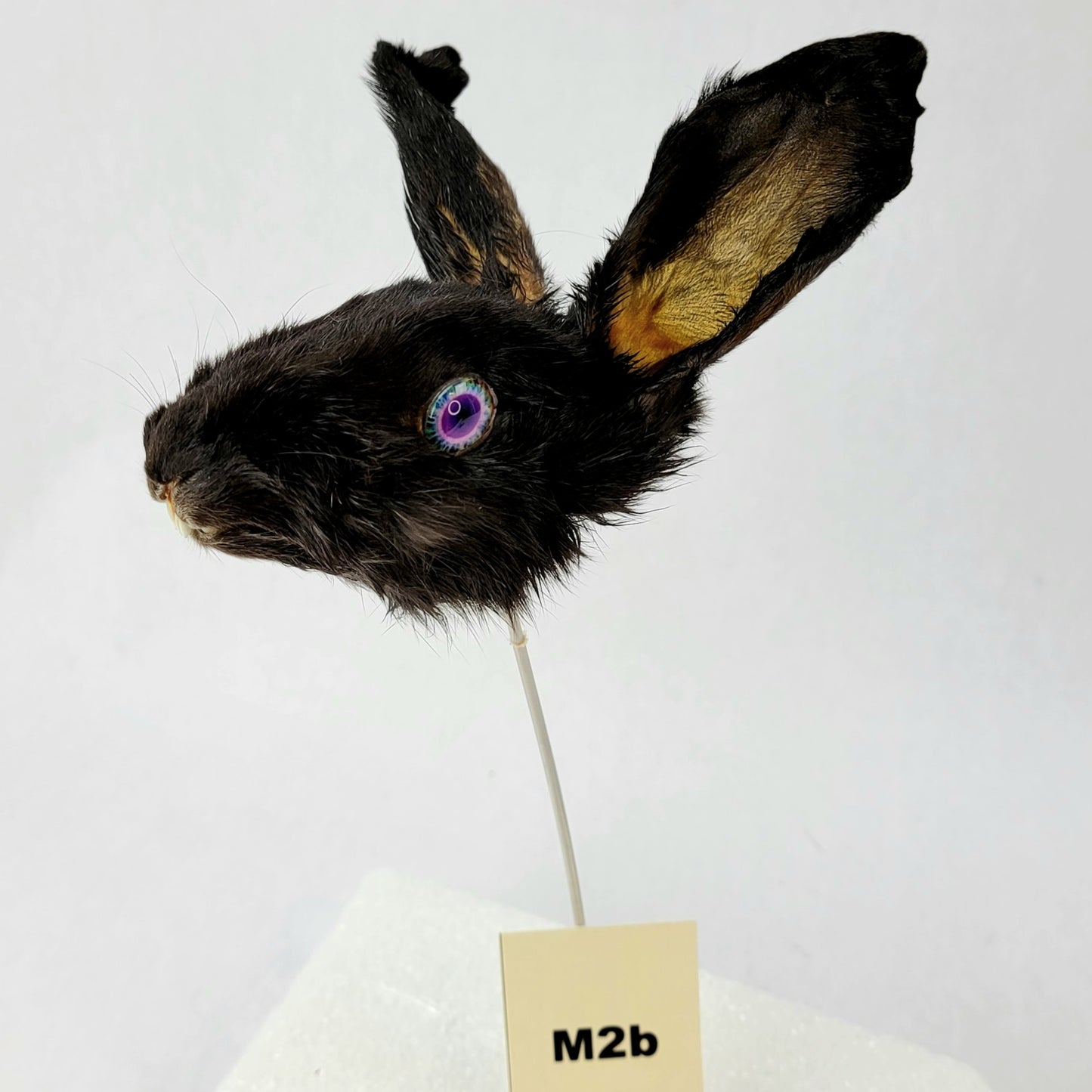 M2b Custom Anthropomorphic Rabbit Doll Deposit