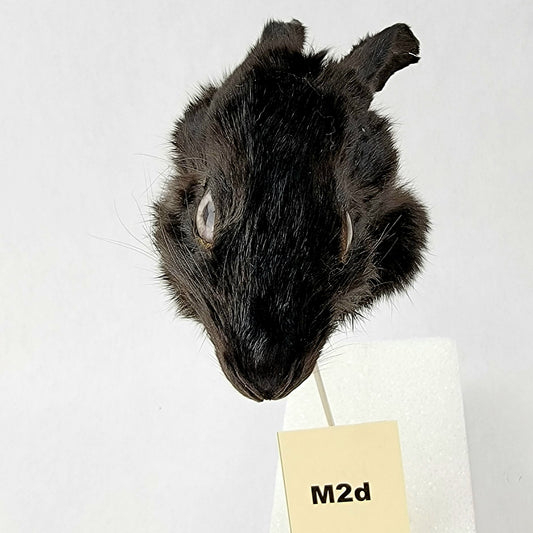 M2d Custom Anthropomorphic Rabbit Doll Deposit