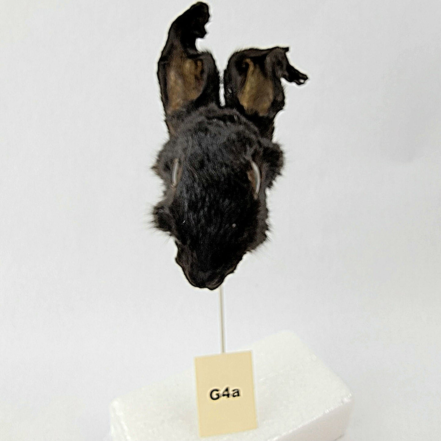 G4a Custom Anthropomorphic Rabbit Doll Deposit