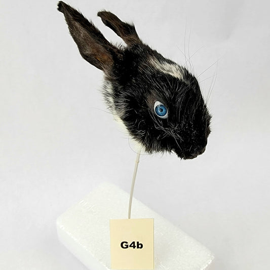 G4b Custom Anthropomorphic Rabbit Doll Deposit