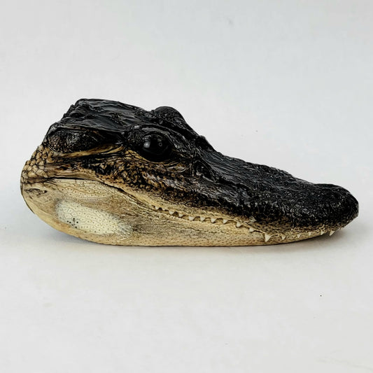 Custom Anthropomorphic Alligator Doll Deposit