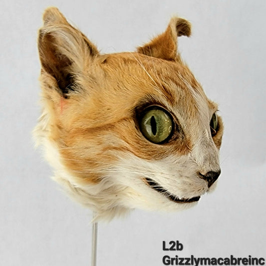 L2B Custom Anthropomorphic Cat Doll Deposit