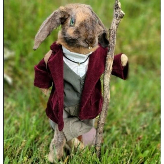 Bilbo, the Hoppit